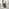 Liode Green Fabric Round Swivel Accent Chair