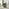 Liode Green Fabric Round Swivel Accent Chair