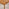 Lynton Small Walnut Colour Wooden Dining Table & 4 Dining Chairs