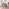 Lynton Small Walnut Effect Wooden Dining Table & 2 Benches