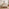 Mabel Orange Fabric Ottoman Double Bed Frame