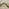Maeve Cream Diamond Pattern Wool Rug 200x290cm