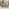 Malva Wood & Black 6-8 Seat Extending Table Garden Dining Set