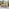 Malva Wood & Black 6-8 Seat Extending Table Garden Dining Set