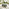 Marbella 6 Seat Grey Rattan Firepit Table Garden Dining Set