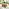 Marbella Beige Rattan 6 Seat Garden Dining Table with Firepit