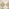 Matilda White & Beige Check Border Flatweave Rug 200x290cm