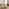 Mette Round Oak Veneer Dining Table 4 Oak Bonnie Chairs