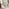 2x Mirelle Beige Boucle Dining Chairs