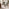 2x Mirelle Green Boucle Dining Chairs