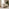 Monroe Beige Chenille Fabric 2 Seater Sofa