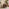 Monroe Brown Faux Leather Armchair