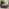 Maldives Beige Rattan & Taupe 5 Seat Garden Sofa Set