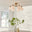 Martha 6 Frosted Glass Globes Ceiling Light