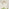 Martha 6 Frosted Glass Globes Ceiling Light