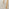 2x Masa Solid Oak and Veneer Wood Dining Chairs