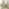 Newport Whitewashed Oval Dining Table 6 Beige Belgravia Chairs