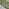 2x Paloma Green Fabric Dining Chairs Silver Legs