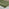 2x Paloma Green Fabric Dining Chairs Silver Legs