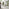 2x Paloma Green Fabric Dining Chairs Silver Legs