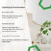 Nora Glass and White Table Lamp
