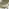 2x Nyla Sage Green Fabric Counter Stools Black Legs