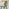 2x Nyla Sage Green Fabric Counter Stools Black Legs