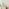 Opaline Grey Ornate Full Length Arch Wall Mirror