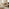 Orizaba Round White Oak Wood Coffee Table