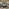 Orlando Brown Rattan Rising Garden Coffee to Dining Table
