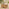 Orlando Beige Rattan Rising Garden Coffee to Dining Table