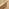 Orlando Beige Rattan Rising Garden Coffee to Dining Table