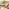 Orlando Beige Rattan Rising Garden Coffee to Dining Table