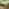 Orlando Beige Rattan & Green 10 Seat Modular Garden Sofa