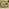 Orlando Beige Rattan & Green 4 Seat Modular Garden Sofa