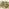 Orlando Beige Rattan & Green 6 Seat Modular Garden Sofa