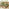 Orlando Beige Rattan & Green 6 Seat Modular Garden Sofa