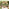 Orlando Beige Rattan & Green 6 Seat Modular Garden Sofa