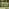 Orlando Beige Rattan & Green 6 Seat Modular Garden Sofa