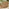 Orlando Beige Rattan & Green 6 Seat Modular Garden Sofa