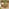 Orlando Beige Rattan & Green 8 Seat Modular Garden Sofa