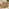 Orlando Beige Rattan & Cream 6 Seat Modular Garden Sofa