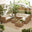 Orlando Beige Rattan & Cream 8 Seat Modular Garden Sofa