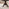 Padstow Round Black Oak Effect Solid Wood Extending 4-6 Seater Dining Table