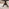 Padstow Dark Brown Round Extending Dining Table & 6 Dark Brown Lilibet Chairs