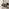 Palma Round Black Semi Gloss Dining Table 4 Terracotta Anika Swivel Chairs