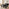 Penrose Oval Black Dining Table & 2 Benches