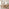Penrose Oval Oak Effect Dining Table & 2 Benches