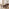Penrose Oval Walnut & Marble Effect Dining Table & 2 Benches