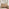 Penrose 4 Drawer Oak Effect Wood Wide Chest of Drawers